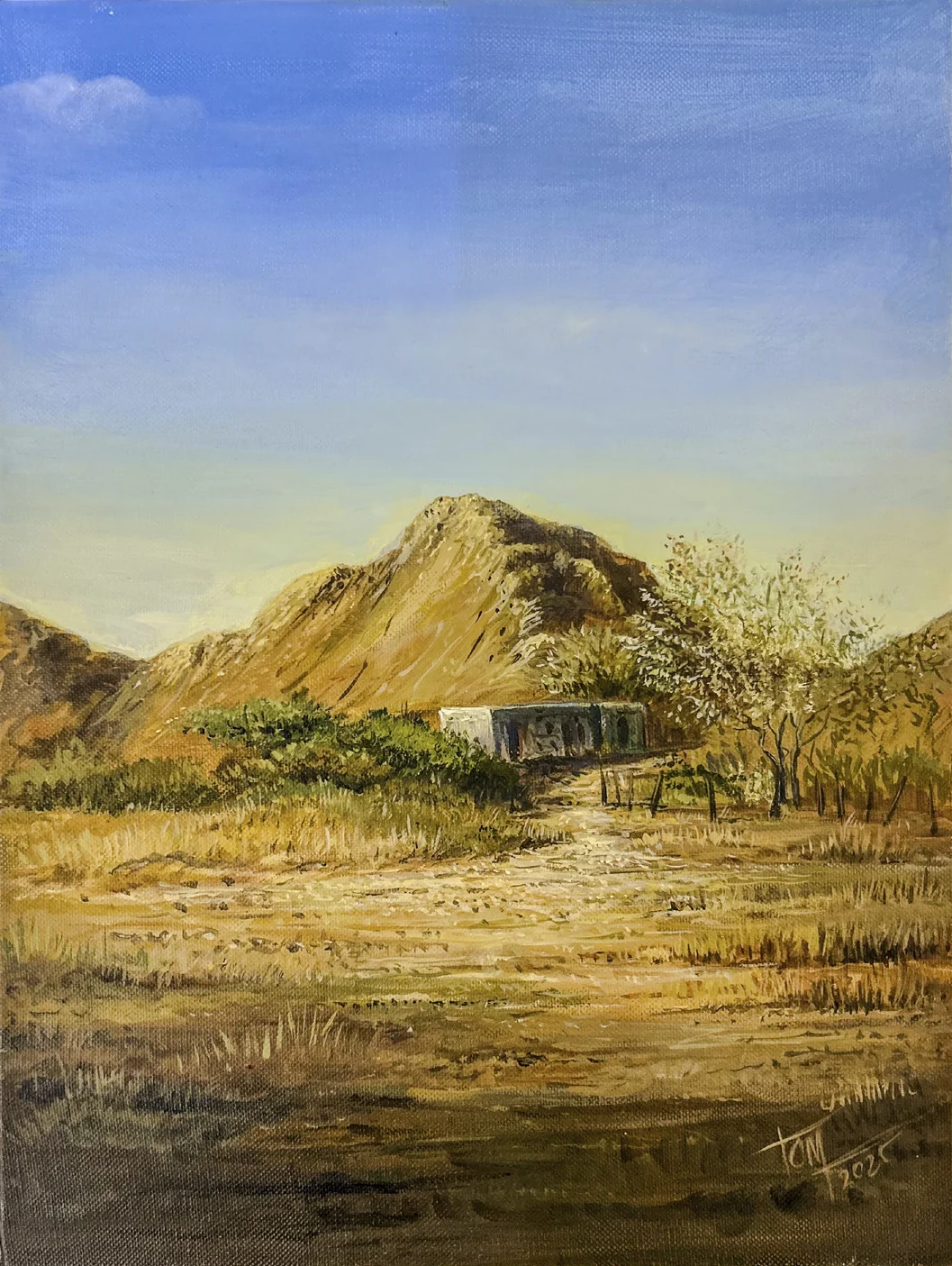 Fujairah Desert Echoes by Thomas Antony