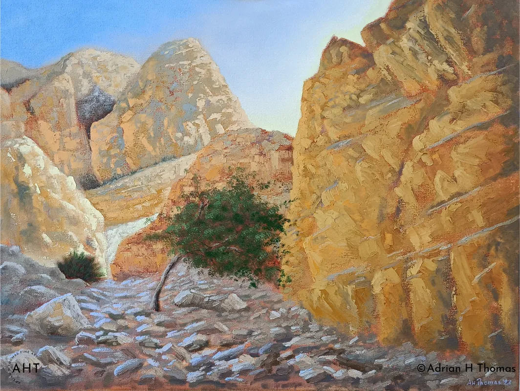 Wadi Morning by Adrian Thomas